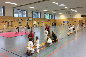 2018 - German Open Wertheim