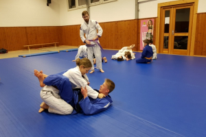 2019 - BJJ