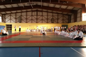 Budogala-Frankreich