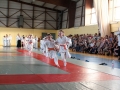 Budogala_Frankreich__25.jpg