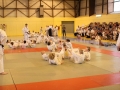 Budogala_Frankreich__63.jpg