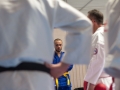 IDM_Sonstiges_1179
